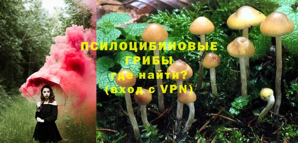 ALPHA PVP Мегион