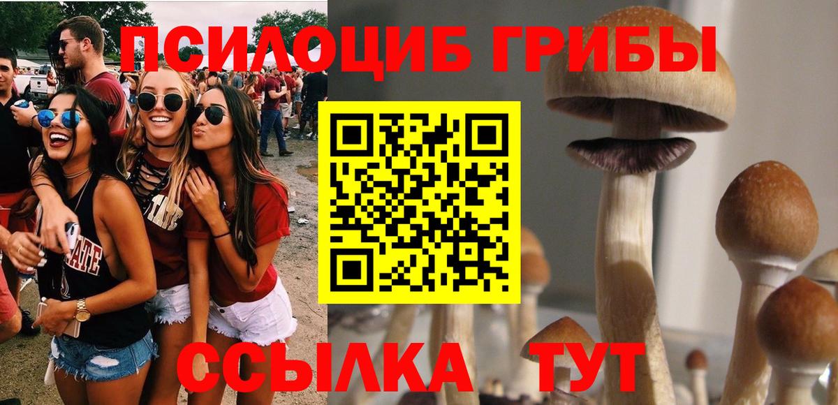 магазин  наркотиков  Псилоцибиновые грибы прущие грибы  Зеленодольск  Псилоцибиновые грибы GOLDEN TEACHER 
