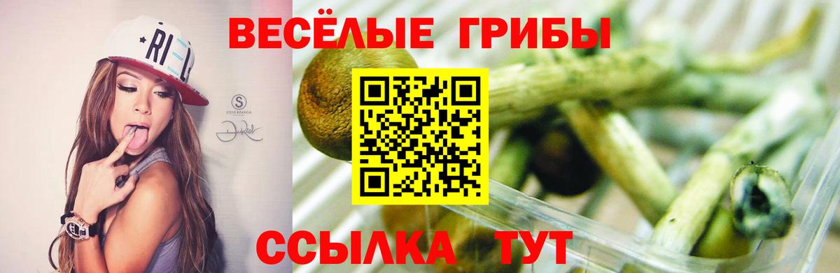 Галлюциногенные грибы ЛСД  Вход с VPN  Галлюциногенные грибы MAGIC MUSHROOMS  Зеленодольск 